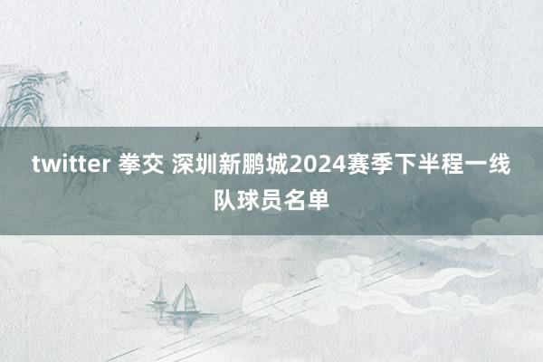 twitter 拳交 深圳新鹏城2024赛季下半程一线队球员名单