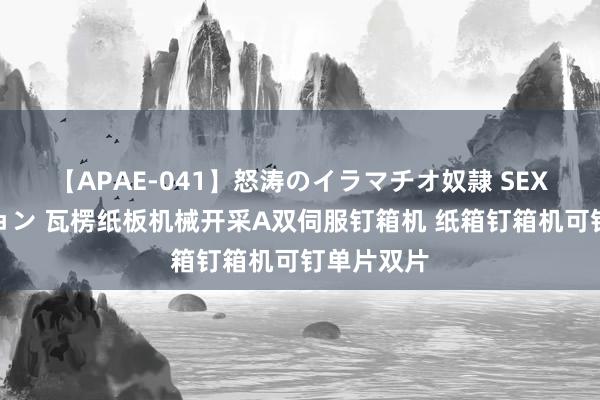 【APAE-041】怒涛のイラマチオ奴隷 SEXコレクション 瓦楞纸板机械开采A双伺服钉箱机 纸箱钉箱机可钉单片双片