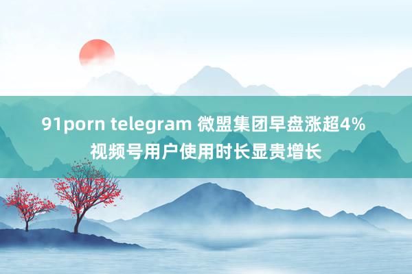 91porn telegram 微盟集团早盘涨超4% 视频号用户使用时长显贵增长