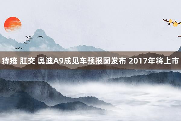 痔疮 肛交 奥迪A9成见车预报图发布 2017年将上市