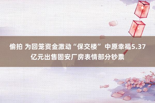 偷拍 为回笼资金激动“保交楼” 中原幸福5.37亿元出售固安厂房表情部分钞票